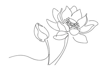 Elegant Lotus Flower Line Art Bloom, Bud, Purity, Serenity, Nature