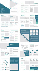 Company Profile