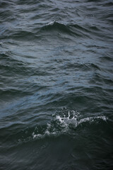 Wave texture with dark sea water. Nature texture. Abstract background.