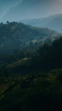 autumn forest on green rocky hills