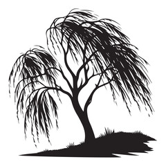 Weeping willow tree silhouette vector illustration for landscape design