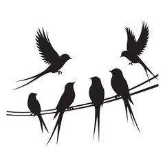 Swallow birds on wire silhouette vector illustration for nature theme