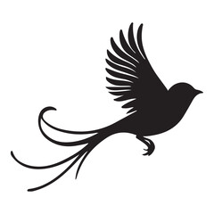 Obraz premium Exotic Bird Vector Illustration Showcasing Flight and Graceful Tail