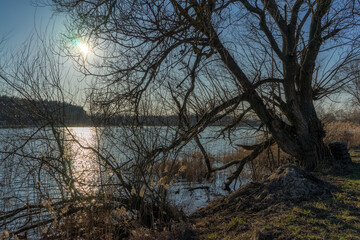 Wiosna nad Stawami Dojlidzkimi, Podlasie, Polska