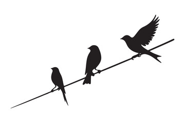 Birds on a Wire Silhouette Vector Graphic Illustration Artwork