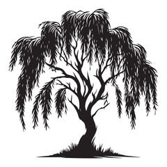 Weeping Willow Silhouette Vector Image Symbolizing Mourning and Nature © Creative Image  