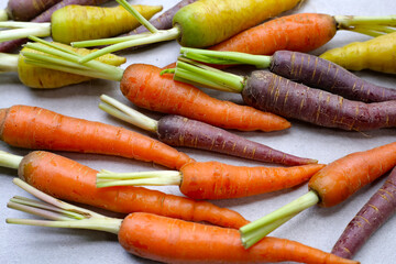 Fresh carrot vegetables, Ripe carrots