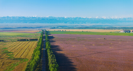 Tianshan Mountains, vast grasslands, and farmland in the Yili region of Xinjiang, China on September 1, 2024