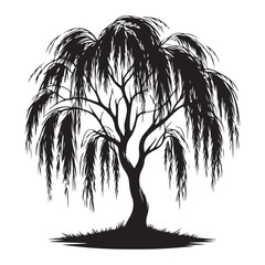 Weeping Willow Tree Silhouette Illustration Nature Mourning Symbol © Creative Image  