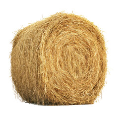 dry hay bale isolated on white or transparent background