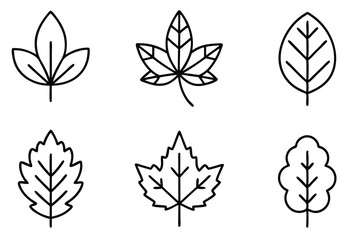 Summer Leaves Icon Set – Vector Line Art of Maple, Oak, Birch, Elm & More