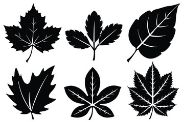 Summer Leaves Icon Set – Vector Line Art of Maple, Oak, Birch, Elm & More