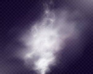 Realistic white smoke on transparent background with soft swirling effect, misty fog, airy vapor, atmospheric haze, drifting smog, subtle steam, floating cloud, delicate fumes.
