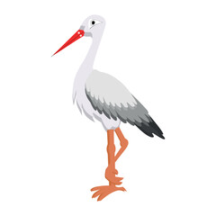 Vector image of a stork on a white background. Vector illustration.