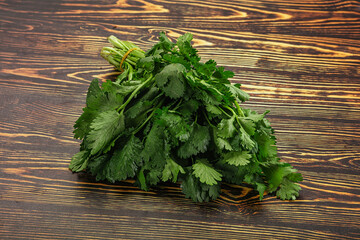 Fresh green cilantro branches heap