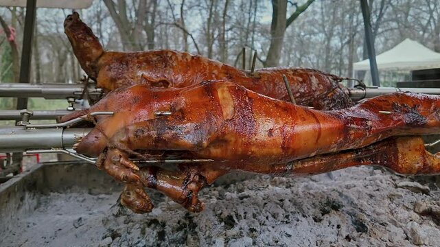 Pig on Spit Slow Roasting Over BBQ rotisserie at food Festival