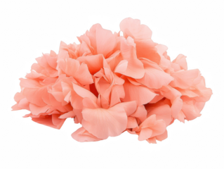 A bunch of pink flowers are piled on top of each other. The flowers are arranged in a way that they look like they are in a vase. The image has a soft and delicate mood