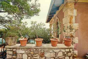 Four potted plants on a stone wall with a rustic house and trees in the background.