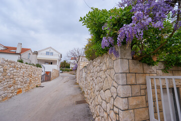 A narrow street lined with stone walls and blooming wisteria, leading to residential houses with red-tiled roofs under a cloudy sky.