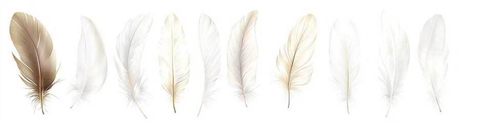 Obraz premium Various Feathered Delights