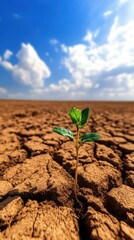 Hope Growing Through the Cracks: A Single Radiant Green Sprout Defying Adversity