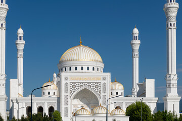 Fototapeta premium The mosque 