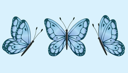 Three blue butterflies with light blue background,set vector illustration. card,portes,banner,wrapping paper, decoration,printing,celebration.