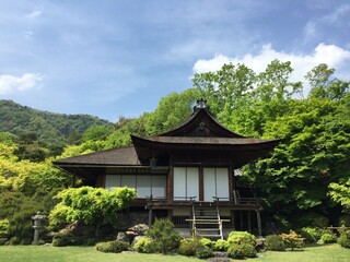 Obraz premium japanese garden in the park