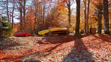 Road path full of orange and golden autumn foliage trees in Triglav National Park, Julian Alps,...