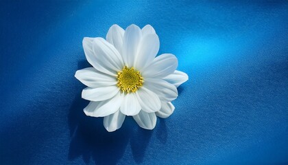 white flower on blue generative ai
