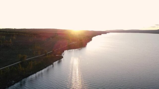 Swedish forest at sunset