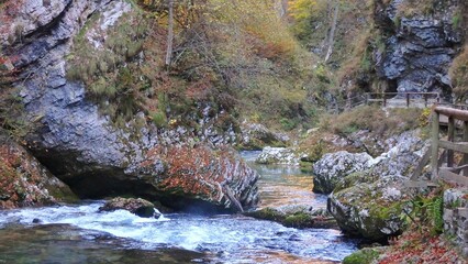 Radovna river stream that carve the Vintgar gorge canyon in Blejska Dobrava, Triglav national park, Slovenia, Europe