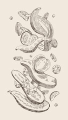 A hand-drawn sketch of vegetable peelings.