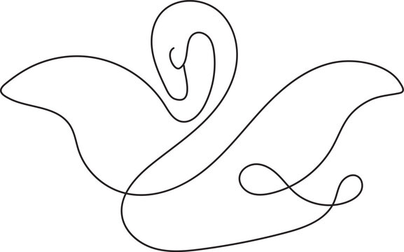 swan one line doodel