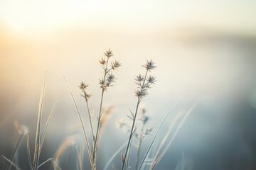 Obraz premium Pastel-toned nature captures the essence of spring's beauty.