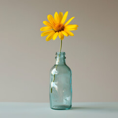 Striking Still Life of a Single Orange Flower in a Textured Green-Blue Glass Vase Against a Clean White Background