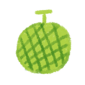 recommend clip art: Cantaloupe melon vector illustration