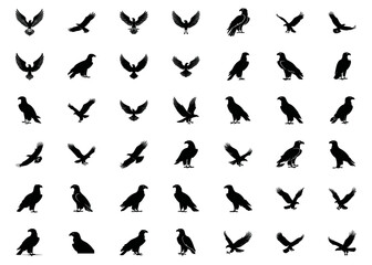 egle silhouette image vector illustraton set