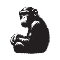 Fototapeta premium a chimpanzee reaching out silhouette vector design art and illustration, silhouette of chimpanse vector illustration. Chimpanzee silhouette, Vector illustration, Animal silhouette, Chimpanzee vectors.