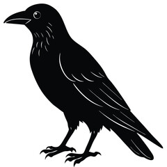 Vector, isolated black silhouette bird, crow collection, crow silhouettes, Raven bird logo vector template, Black silhouette of a crow on an isolated background,crow isolated on white, crow vector.