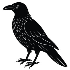 Vector, isolated black silhouette bird, crow collection, crow silhouettes, Raven bird logo vector template, Black silhouette of a crow on an isolated background,crow isolated on white, crow vector.