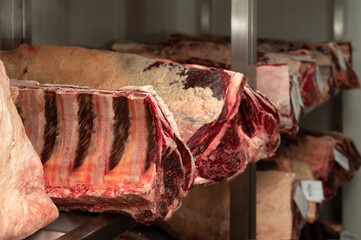 Large cuts of beef are displayed in a refrigerated area, showcasing various aging techniques for optimal flavor.