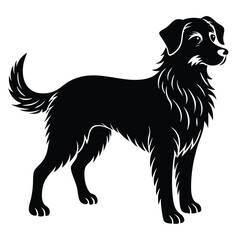 vector, isolated black silhouette of a dog, collection, Dog silhouettes, Vector black and white illustration of a sitting dog isolated on a white background, Dog Breeds silhouette set.