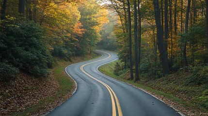 Obraz premium Driving on a Winding Road Through a Colorful Autumn Forest