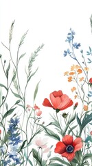 Colorful Wildflowers in a Field