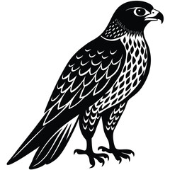 Peregrine Falcon Silhouette Design, Peregrine Clipart Graphic, Peregrine Bird vector illustration in black and white, Peregrine Falcon Diving at High Speed Silhouette.