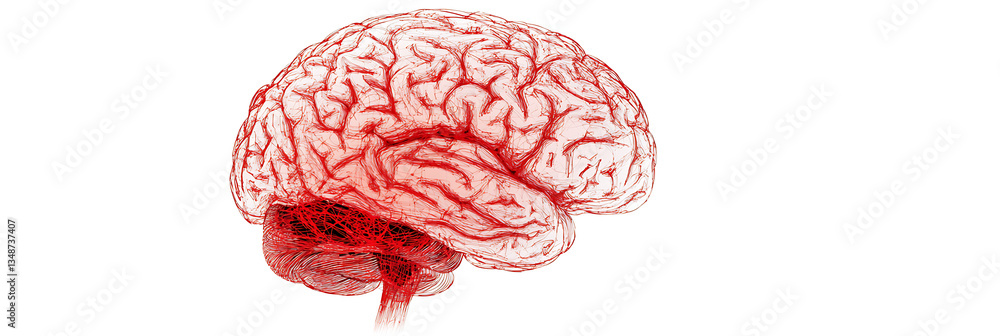 Poster a detailed illustration of a human brain rendered in red, showcasing intricate neural pathways and s