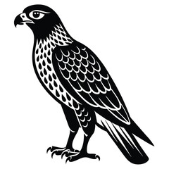 Obraz premium Peregrine Falcon Silhouette Design, Peregrine Clipart Graphic, Peregrine Bird vector illustration in black and white, Peregrine Falcon Diving at High Speed Silhouette.