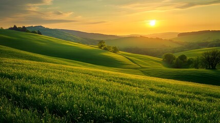 Obraz premium Serene Countryside Sunset with Rolling Hills and Green Fields - Stunning Rural Landscape Illuminated by Warm Golden Light for Nature Lovers and Photography Enthusiasts