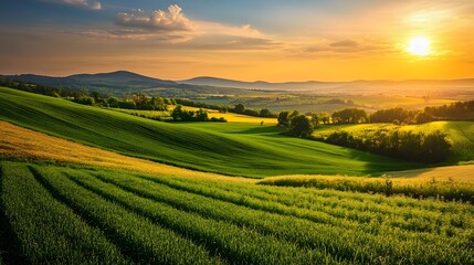 Fototapeta premium Serene Countryside Sunset with Rolling Hills and Green Fields - Stunning Rural Landscape Illuminated by Warm Golden Light for Nature Lovers and Photography Enthusiasts